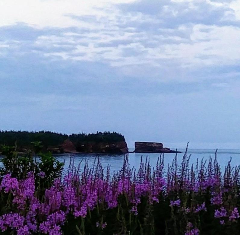 Moore'S Specialties Fundy Bay House Rental Gardner Creek Exteriér fotografie