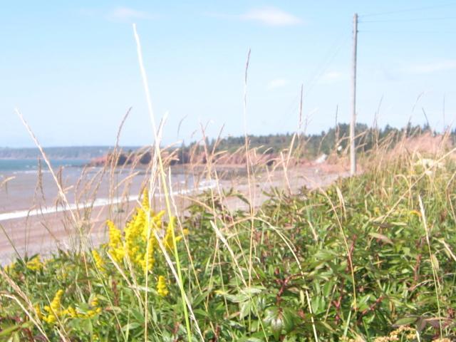 Moore'S Specialties Fundy Bay House Rental Gardner Creek Exteriér fotografie