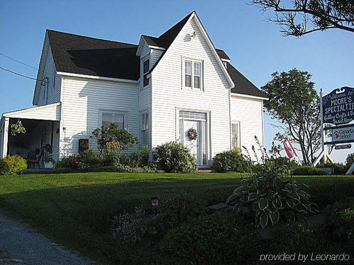 Moore'S Specialties Fundy Bay House Rental Gardner Creek Exteriér fotografie