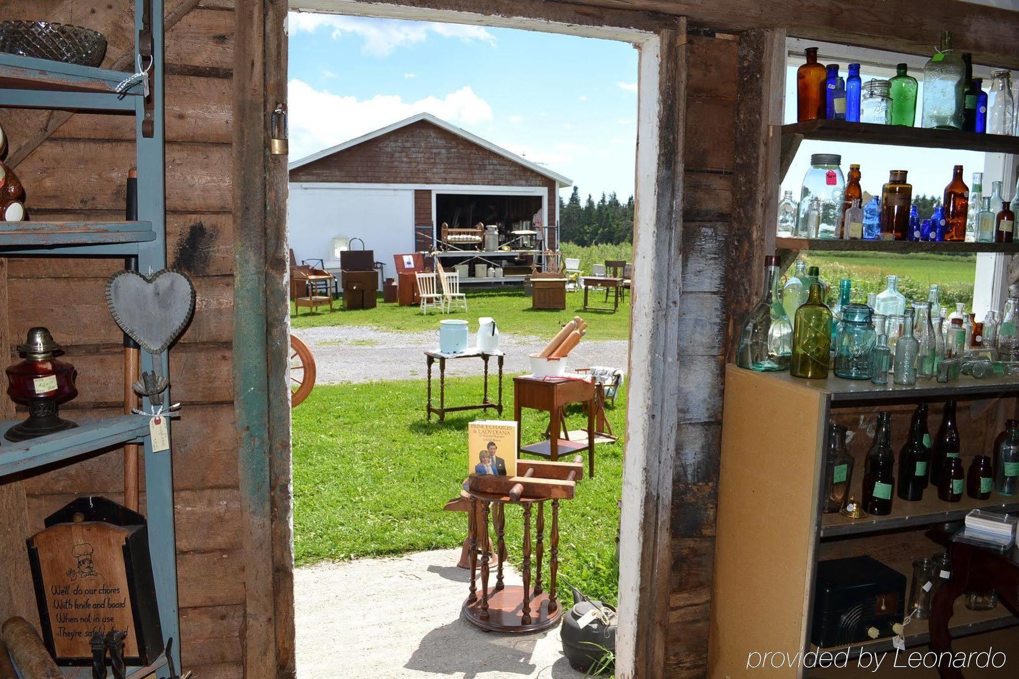 Moore'S Specialties Fundy Bay House Rental Gardner Creek Exteriér fotografie