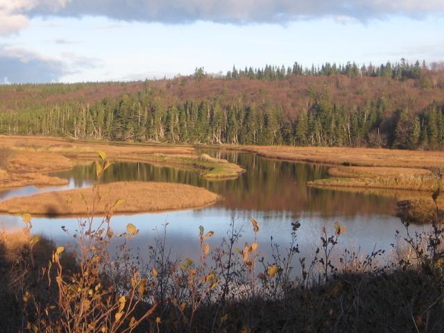 Moore'S Specialties Fundy Bay House Rental Gardner Creek Exteriér fotografie