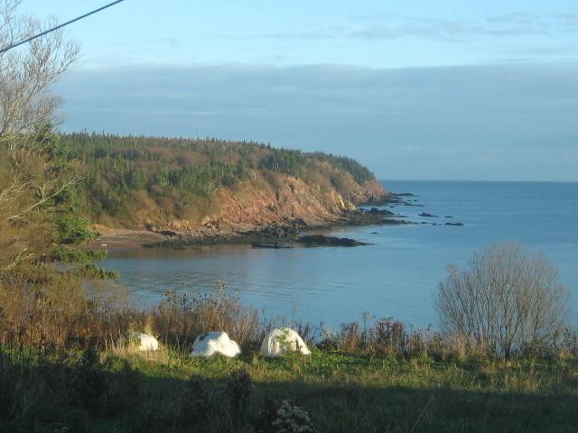 Moore'S Specialties Fundy Bay House Rental Gardner Creek Exteriér fotografie