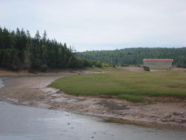 Moore'S Specialties Fundy Bay House Rental Gardner Creek Exteriér fotografie